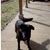 Deb Carroll's profile image