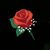 Siga Flor's profile image