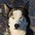 Tom Marek's profile image