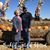 Tonya Toms Towery's profile image