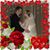 Wendy Seidl Spicer's profile image