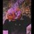 Aland Allo's profile image