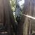 Kristin Schuch's profile image