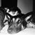 Melania Fellers's profile image