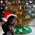 Meredith Reynells's profile image
