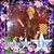 Judith Feeney O'Sullivan's profile image