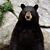 Terry Spohn's profile image
