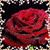 Dennis L. Questell's profile image