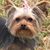 Valerie Garcia Mizzell's profile image