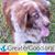 Wendy Southerland's profile image