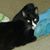 June Gulick's profile image