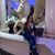 Veronica Martinez's profile image