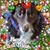 Joan Kilroy's profile image
