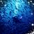 Heather Davidson's profile image
