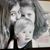 Candace Sellers's profile image