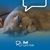Melanie Cadieux's profile image
