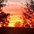 Vicki Johnson-Farrington's profile image
