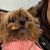 Lara McFadden's profile image