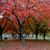Dorothy Greenough's profile image