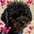Jacki Mettey Vegas's profile image