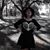 Catie Hobbs's profile image