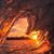 Lorri Locklin Minter's profile image