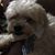 Ellen Pincus's profile image