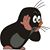Marcin Branc's profile image