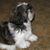 Tracy Marie's profile image