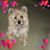 Carolee Johnson's profile image