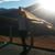 Dani Grace Kopf's profile image