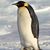Bartholomew PenGwen's profile image