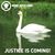 Terri Abbett's profile image