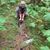 Judy A Basler's profile image