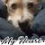 Suzy Bower's profile image