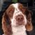 Mark Coates's profile image