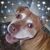 Lisa White-tanner's profile image