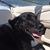 Cynthia Handley Knight's profile image