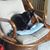Traci Petro Saylor's profile image