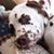 Valerie Lewis's profile image