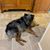 Bobbi Jo Gray's profile image