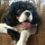 Jennifer Wade Ballard's profile image