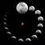 Jennifer Lark Spurr's profile image