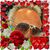 Ami Shabbo Shabbot's profile image