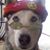 Julie Bakley's profile image