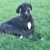 Kathy Pagon Haneberg's profile image