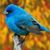 Laurel W. Johnson's profile image