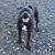 Angela Hundley Rush's profile image