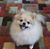 Peggy Martin's profile image