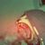 Emmanuel Oteirp's profile image